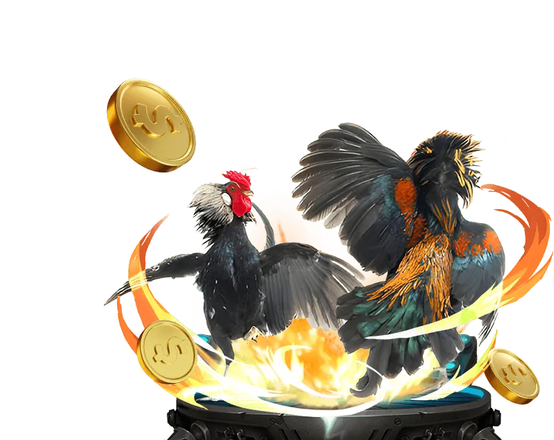 Chính sách chơi có trách nhiệm của Happy66 Casino
